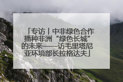 专访丨中非绿色合作播种非洲“绿色长城”的未来——访毛里塔尼亚环境部长拉格达夫