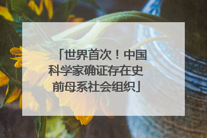 世界首次！中国科学家确证存在史前母系社会组织