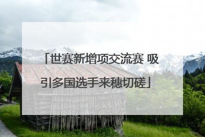 世赛新增项交流赛 吸引多国选手来穗切磋