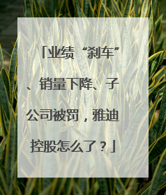 业绩“刹车”、销量下降、子公司被罚，雅迪控股怎么了？