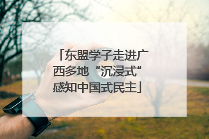 东盟学子走进广西多地“沉浸式”感知中国式民主
