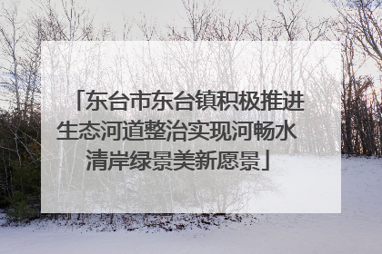 东台市东台镇积极推进生态河道整治实现河畅水清岸绿景美新愿景