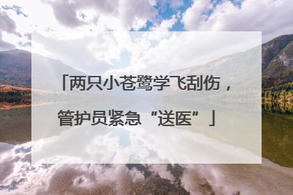 两只小苍鹭学飞刮伤，管护员紧急“送医”