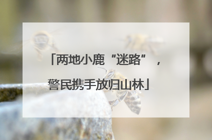两地小鹿“迷路”，警民携手放归山林