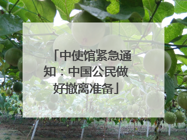 中使馆紧急通知：中国公民做好撤离准备