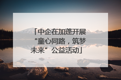 中企在加蓬开展“童心同路，筑梦未来”公益活动