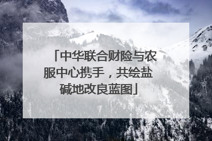 中华联合财险与农服中心携手，共绘盐碱地改良蓝图