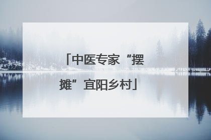 中医专家“摆摊”宜阳乡村