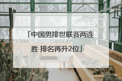 中国男排世联赛两连胜 排名再升2位