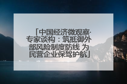中国经济微观察·专家谈构：筑抵御外部风险制度防线 为民营企业保驾护航