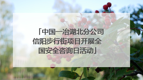 中国一冶湖北分公司信阳步行街项目开展全国安全咨询日活动