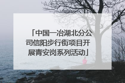 中国一冶湖北分公司信阳步行街项目开展青安岗系列活动