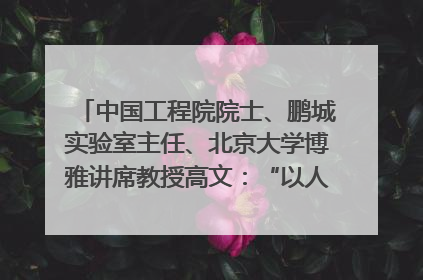 中国工程院院士、鹏城实验室主任、北京大学博雅讲席教授高文：“以人为本 智能向善” 推动文化与科技相生相促｜聚焦2025文化强国建设高峰论坛