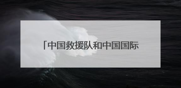 中国救援队和中国国际救援队顺利通过联合国国际重型救援队能力复测