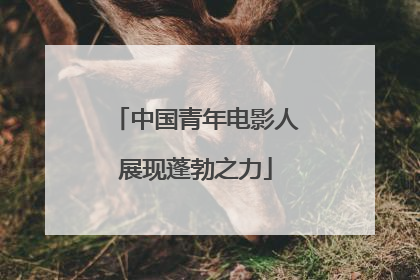中国青年电影人展现蓬勃之力