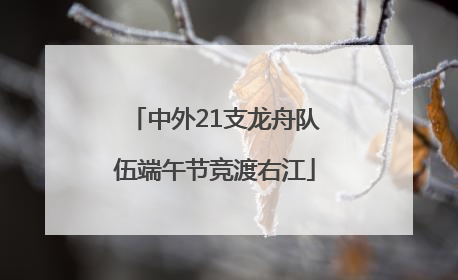 中外21支龙舟队伍端午节竞渡右江