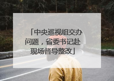中央巡视组交办问题，省委书记赴现场督导整改