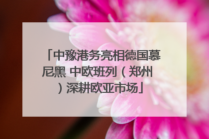 中豫港务亮相德国慕尼黑 中欧班列（郑州）深耕欧亚市场