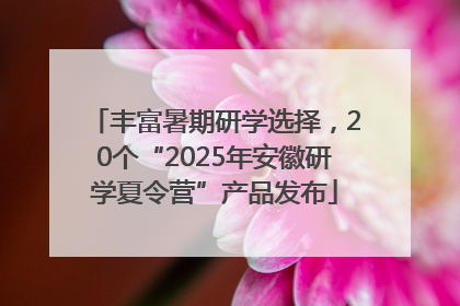 丰富暑期研学选择，20个“2025年安徽研学夏令营”产品发布