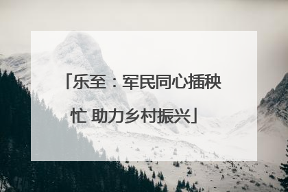 乐至：军民同心插秧忙 助力乡村振兴
