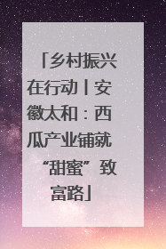 乡村振兴在行动丨安徽太和：西瓜产业铺就“甜蜜”致富路