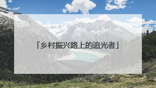 乡村振兴路上的追光者