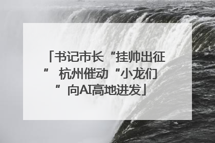 书记市长“挂帅出征” 杭州催动“小龙们”向AI高地进发