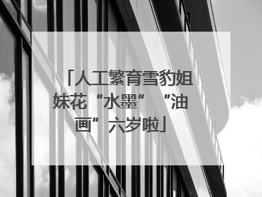 人工繁育雪豹姐妹花“水墨”“油画”六岁啦
