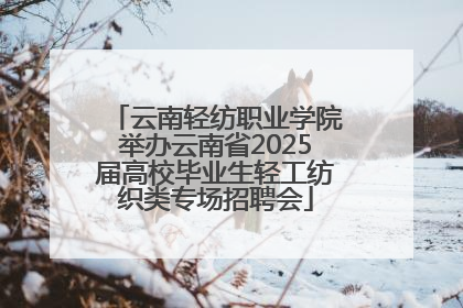 云南轻纺职业学院举办云南省2025届高校毕业生轻工纺织类专场招聘会
