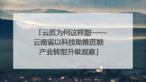 云蔗为何这样甜——云南省以科技助推蔗糖产业转型升级观察