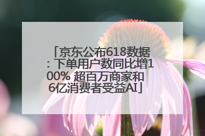 京东公布618数据：下单用户数同比增100% 超百万商家和6亿消费者受益AI
