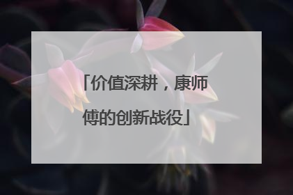 价值深耕，康师傅的创新战役
