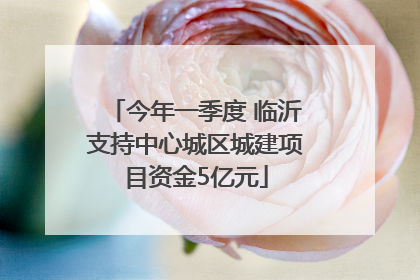 今年一季度 临沂支持中心城区城建项目资金5亿元