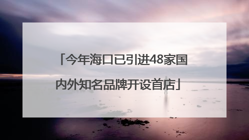 今年海口已引进48家国内外知名品牌开设首店