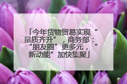 今年货物贸易实现“量质齐升”，商务部：“朋友圈”更多元，“新动能”加快集聚