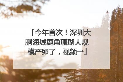 今年首次！深圳大鹏海域鹿角珊瑚大规模产卵了，视频→