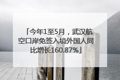 今年1至5月，武汉航空口岸免签入境外国人同比增长160.87%