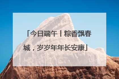今日端午丨粽香飘春城，岁岁年年长安康