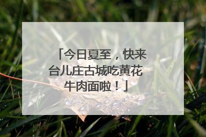 今日夏至，快来台儿庄古城吃黄花牛肉面啦！