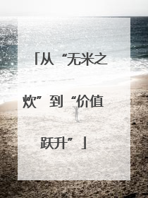 从“无米之炊”到“价值跃升”