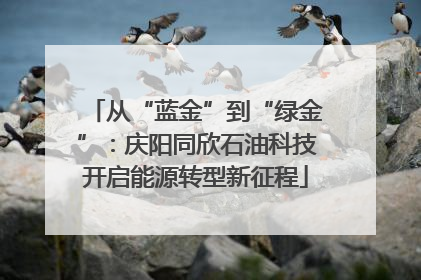 从“蓝金”到“绿金”：庆阳同欣石油科技开启能源转型新征程