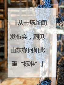 从一场新闻发布会，洞见山东缘何如此重“标准”