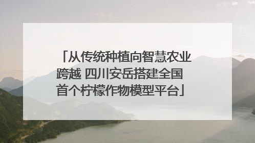 从传统种植向智慧农业跨越 四川安岳搭建全国首个柠檬作物模型平台