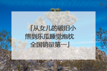 从女儿的破旧小熊到乐瓜睡觉抱枕全国销量第一