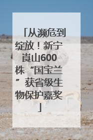 从濒危到绽放！新宁崀山600株“国宝兰”获省级生物保护嘉奖