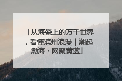 从海瓷上的万千世界，看懂滨州浪漫｜潮起渤海・网聚黄蓝