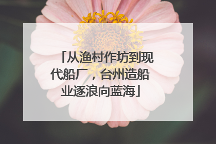 从渔村作坊到现代船厂，台州造船业逐浪向蓝海
