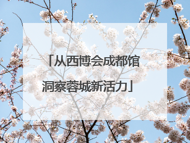 从西博会成都馆洞察蓉城新活力