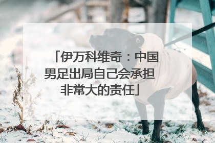 伊万科维奇：中国男足出局自己会承担非常大的责任