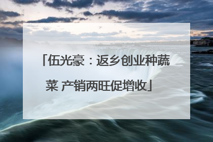伍光豪：返乡创业种蔬菜 产销两旺促增收